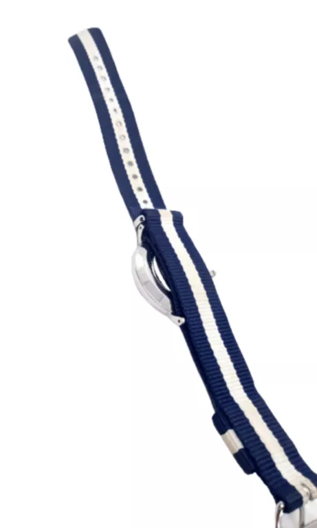 ZEGAREK DANIEL WELLINGTON CLASSIC B36S16