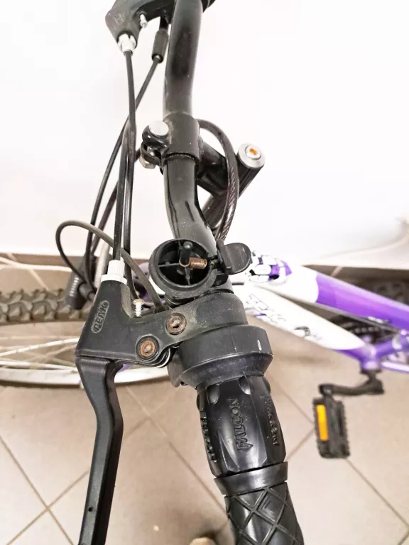 rower-team-raider-kids-pro-24-ean-gtin-00000000000000