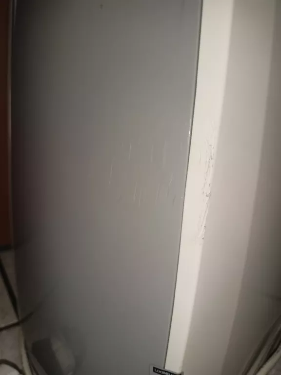 DIMPLEX POCHŁANIACZ WILGOCI