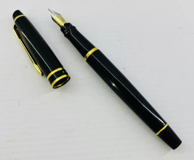 WIECZNE PIÓRO WATERMAN PARIS FRANCE F