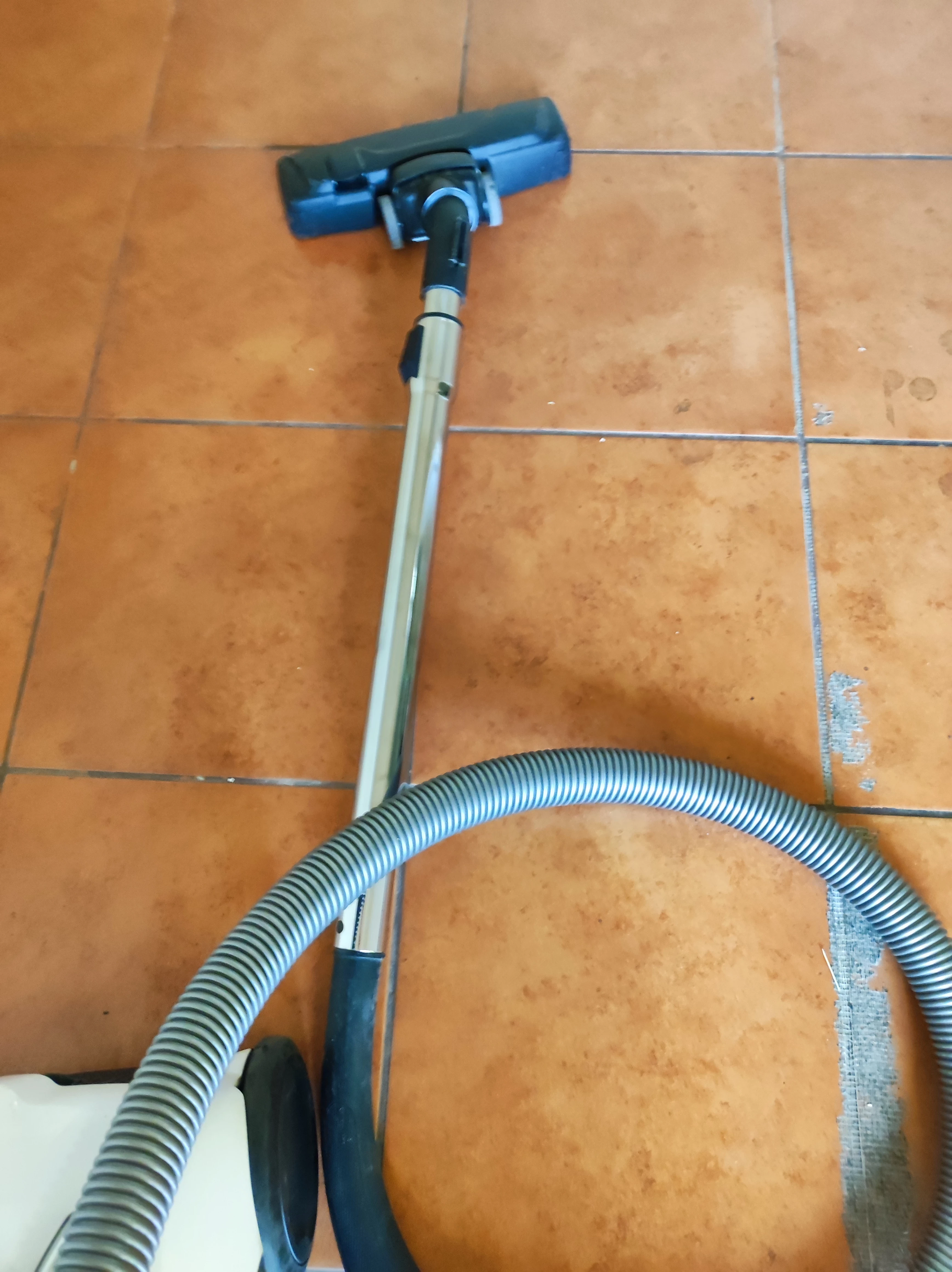 odkurzacz-electrolux-easygo-model-eeg41iw