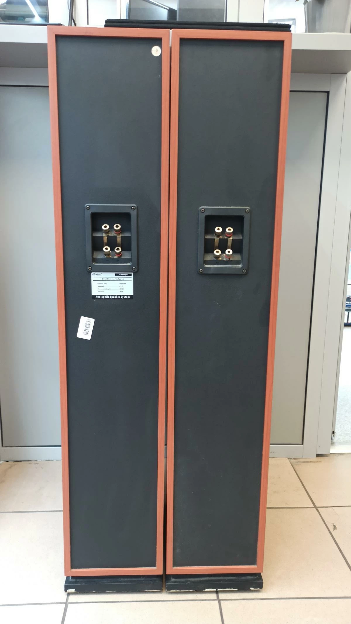 2-kolumny-prism-amethyst-ht-150-rodzaj-podlogowe