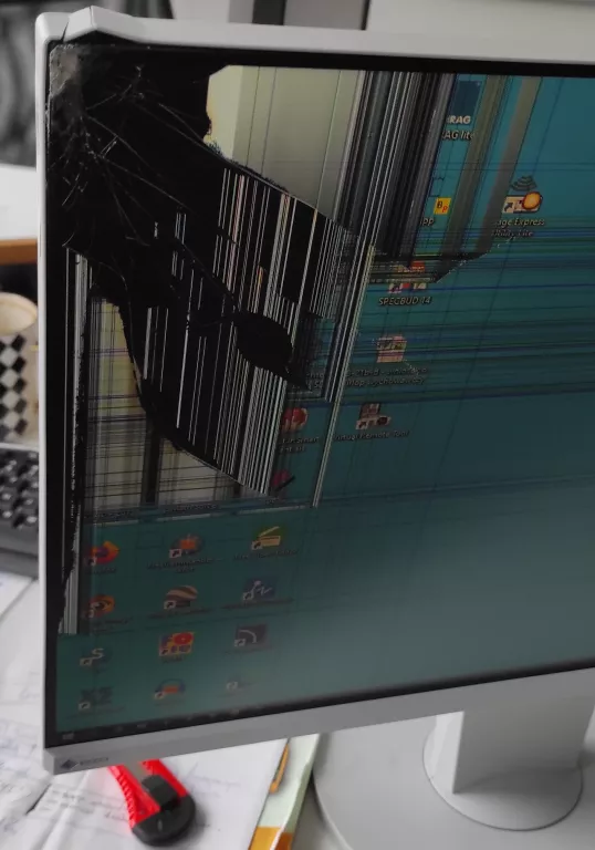 MONITO EIZO FLEXSCAN EV2450 USZKODZONA MATRYCA