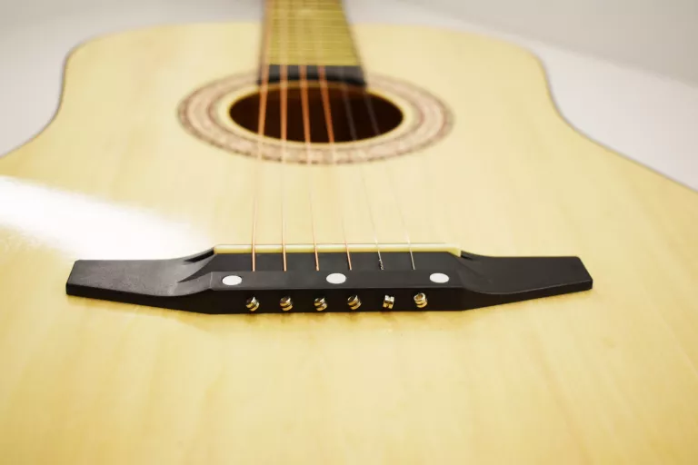 GITARA AKUSTYCZNA ECHO C81 / GWARANCJA