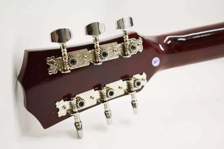 GITARA AKUSTYCZNA ECHO C81 / GWARANCJA