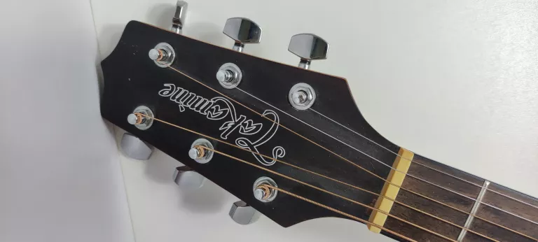 GITARA AKUSTYCZNA TAKAMINE GD10 NS