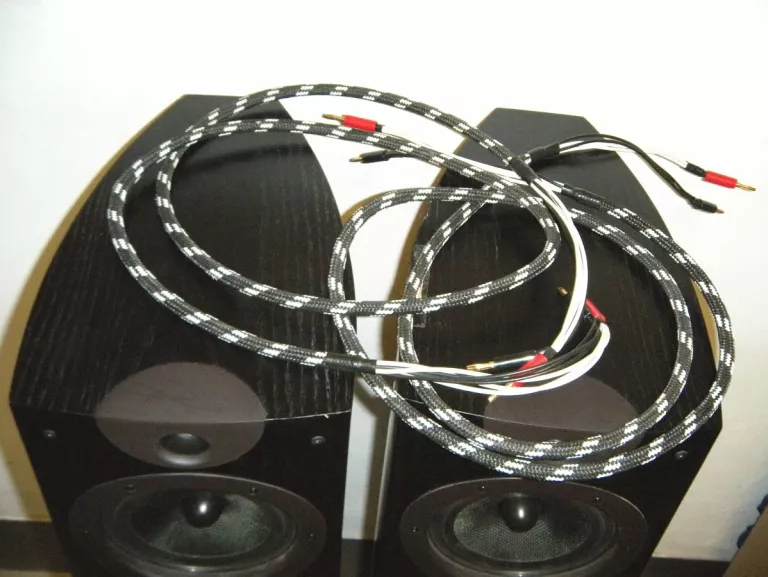 KOLUMNY WHARFEDALE EVOLUTION 2-40 2 SZTUKI