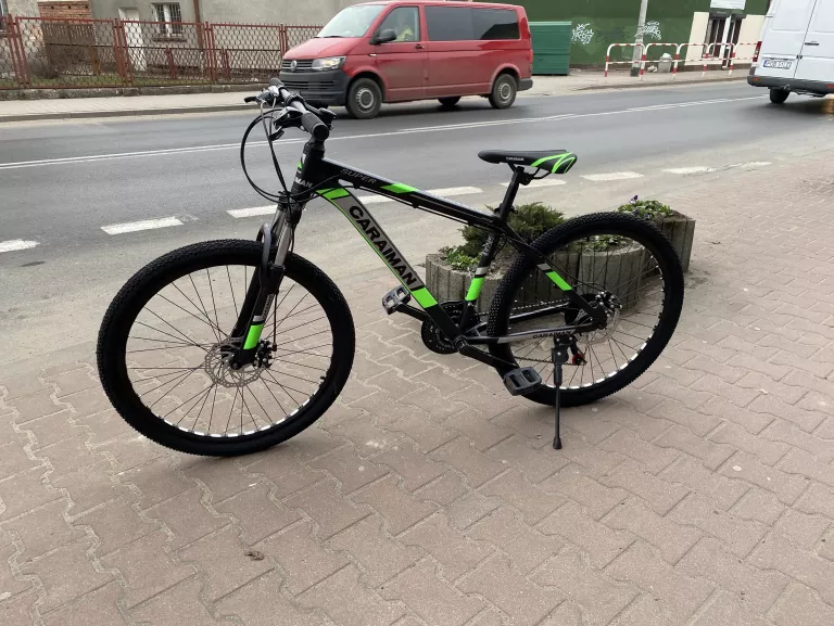 rower-275-caraiman-stal-zielony-plec-130411-1030181