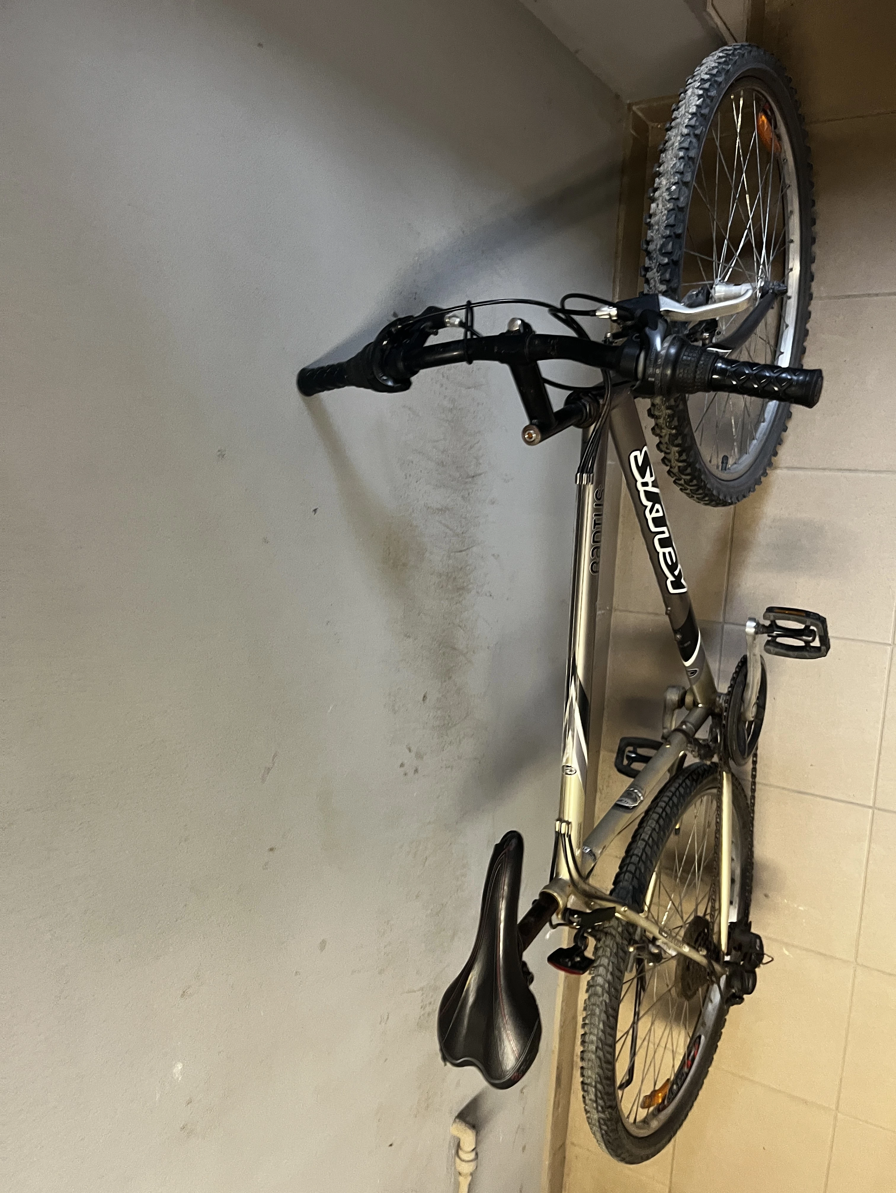 rower-srebrny-kellys-radius-rozmiar-ramy-brak-informacji