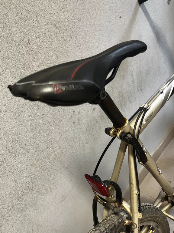 rower-srebrny-kellys-radius-kolor-wielokolorowy