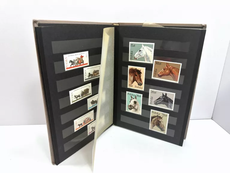 klaser-jelenia-gora-stefana-grota-roweckiego-7h-krakow