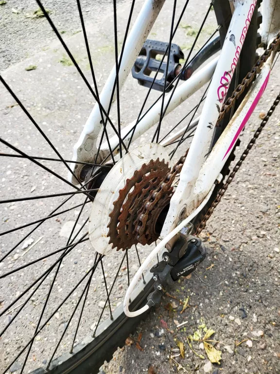 rower-indiana-roxy-kola-24-bialy-kod-producenta-roxy