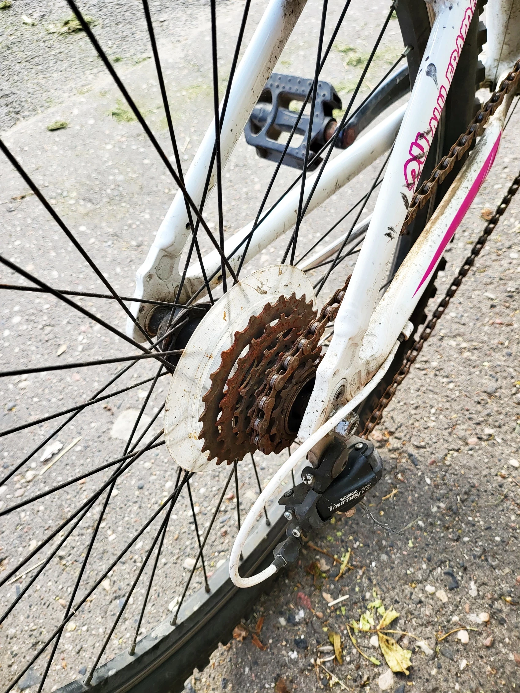 rower-indiana-roxy-kola-24-bialy-kod-producenta-roxy