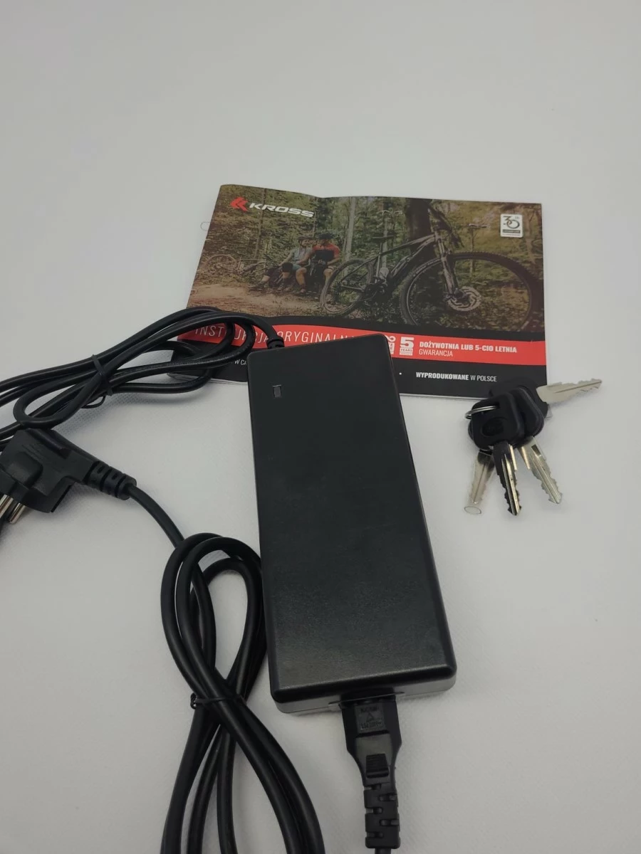 rower-elektryczny-kross-hexagon-boost-10-gw-marka-kross