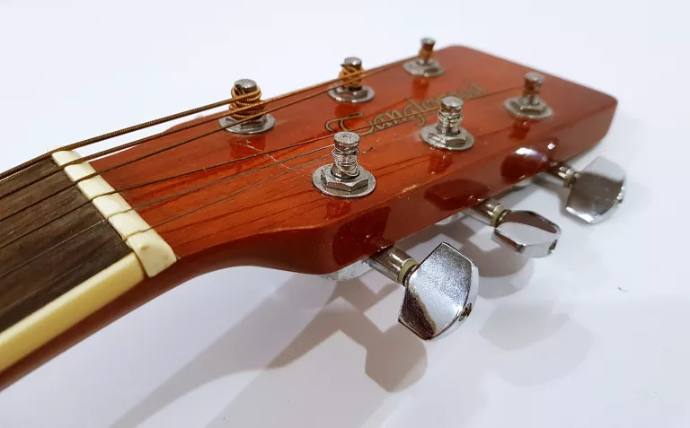 GITARA AKUSTYCZNA TANGLEWOOD DBT DLXD + FUTERAŁ + STROIK