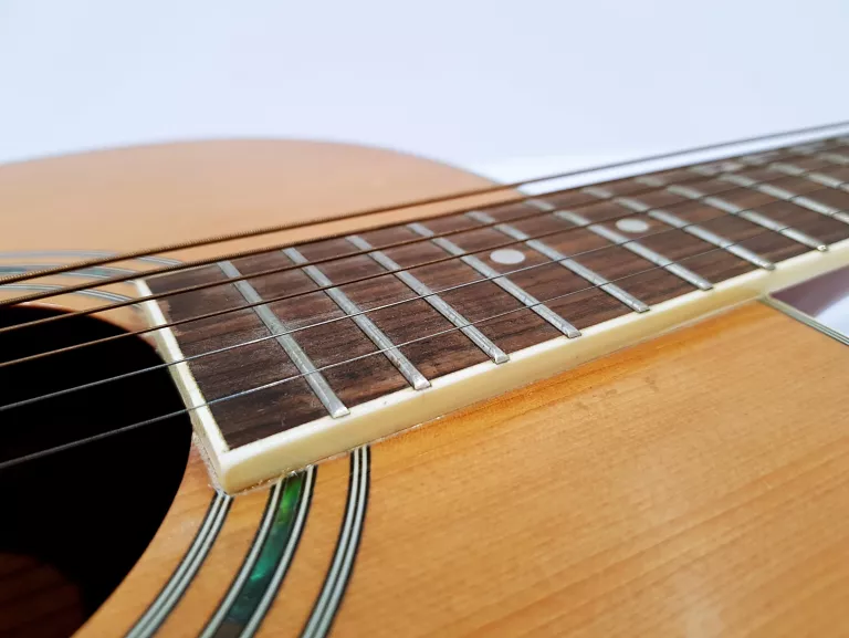 GITARA AKUSTYCZNA TANGLEWOOD DBT DLXD + FUTERAŁ + STROIK