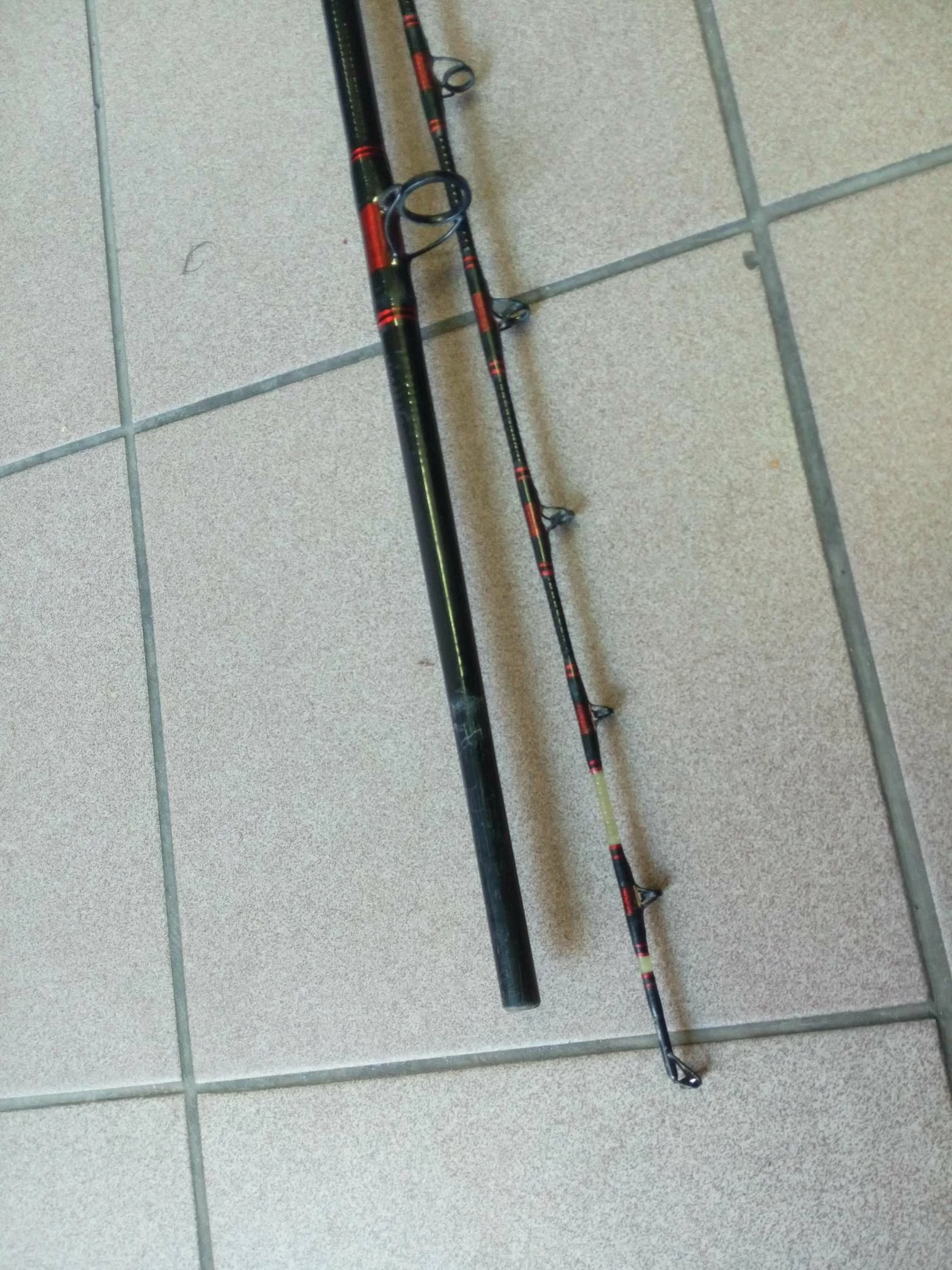 wedka-kogha-gianthunter-wels-300kol-triumph-model-wels-300