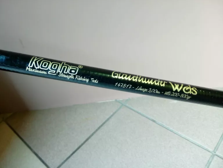 wedka-kogha-gianthunter-wels-300kol-triumph-grzybowa-1-sj-nysa