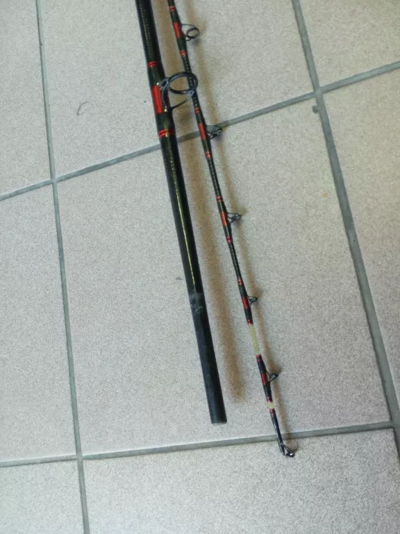 wedka-kogha-gianthunter-wels-300kol-triumph-model-wels-300