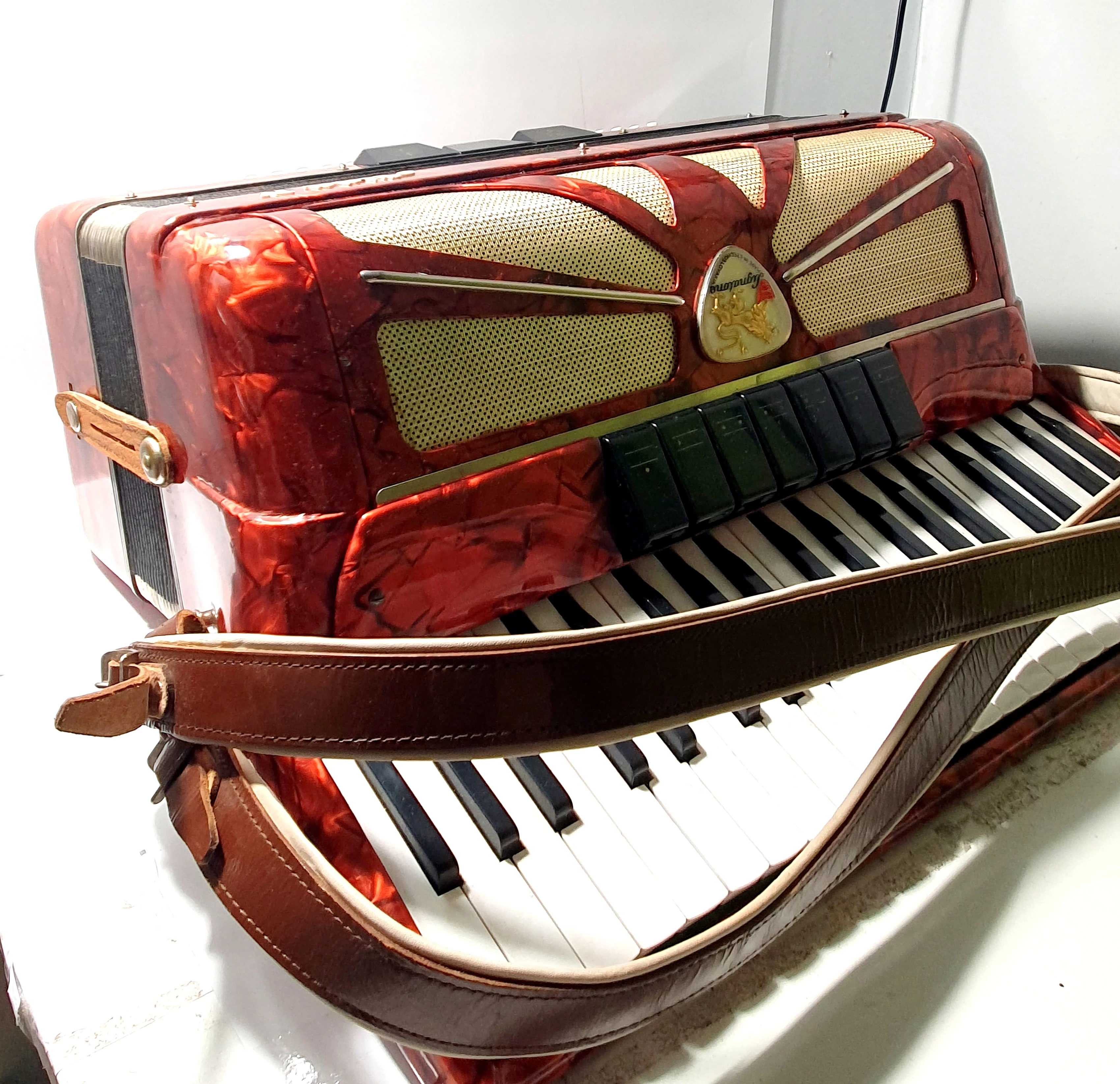 akordeon-lignatone-aida-iv-walizka-dabrowskiego-12-rumia