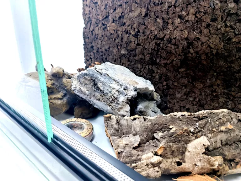 TERRARIUM 50X30X30 + AKCESORIA