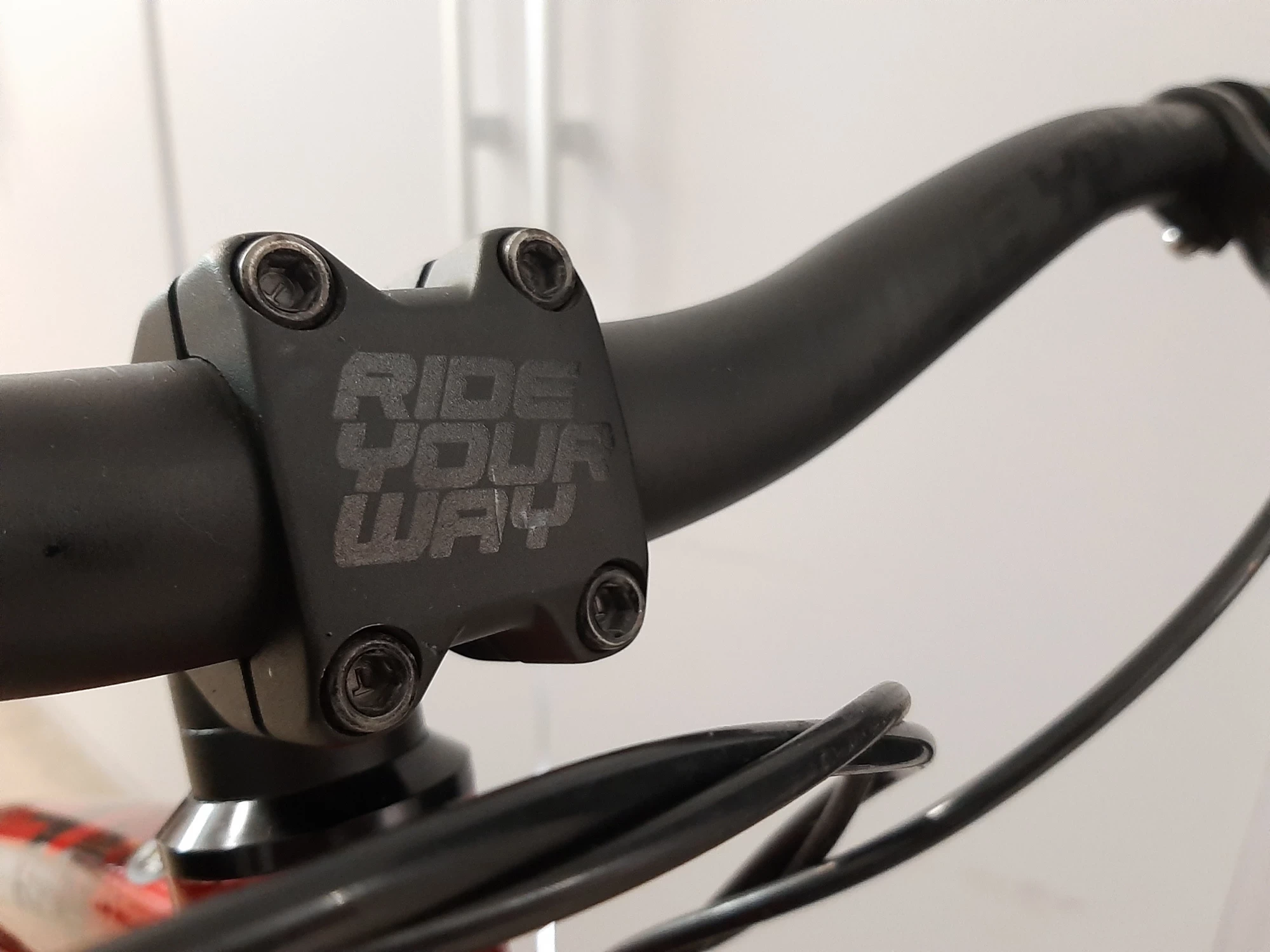 rower-wyczynowy-dartmoor-hornet-red-devil-2020-plec-130411-2