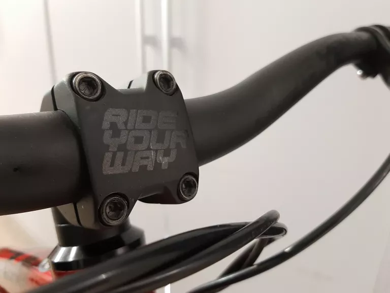 rower-wyczynowy-dartmoor-hornet-red-devil-2020-plec-130411-2