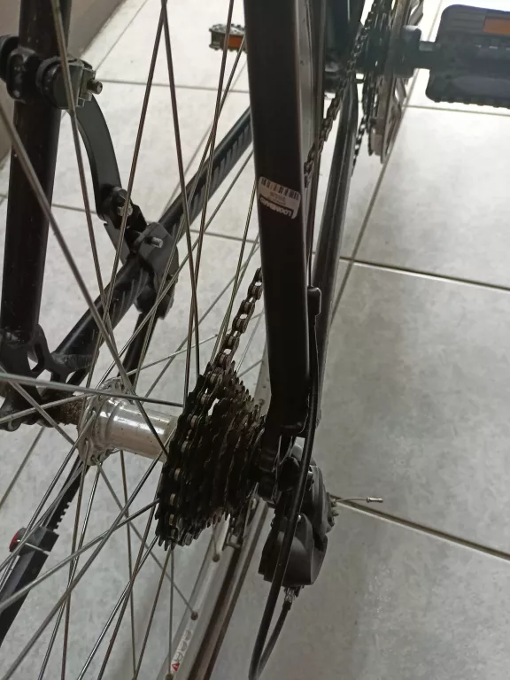 ROWERY CROSSOWY KELLYS ALPINA ECO C10 Crossowe Loombard.pl