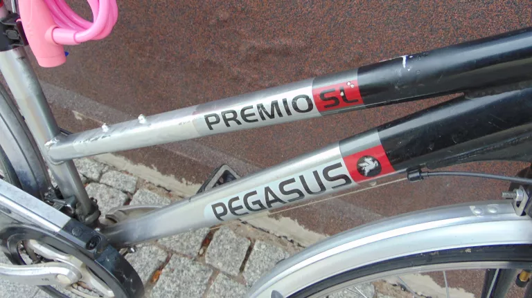 ROWER MIEJSKI PEGASUS PREMIO 51