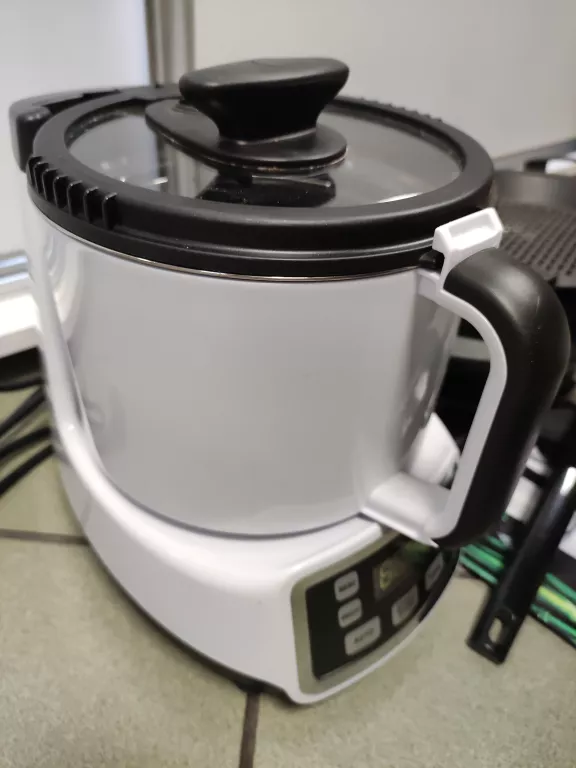 VALENTI TORINTO THERMOBOT VT-1206
