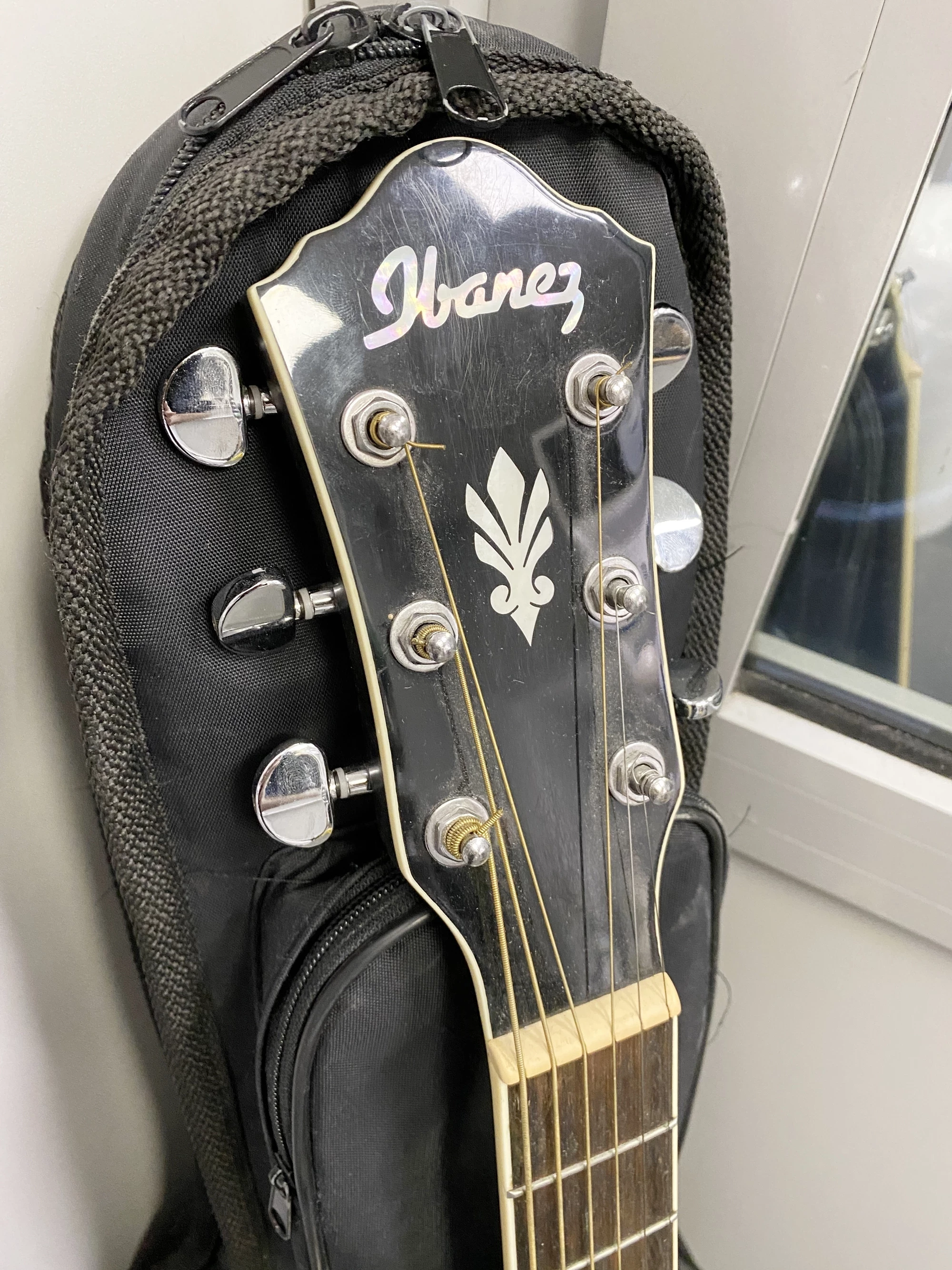 Ibanez aeg1011 deals