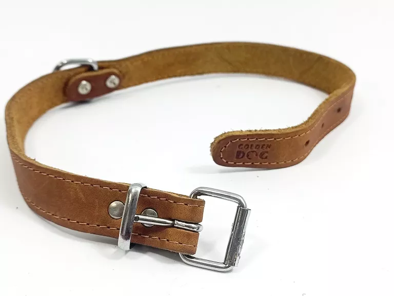 skorzana-obroza-dla-psa-naturalna-skora-m-golden-dog-kod-producenta-5904533609448