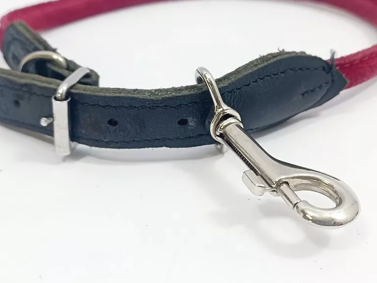 skorzana-obroza-dla-psa-osiedle-czecha-96-poznan