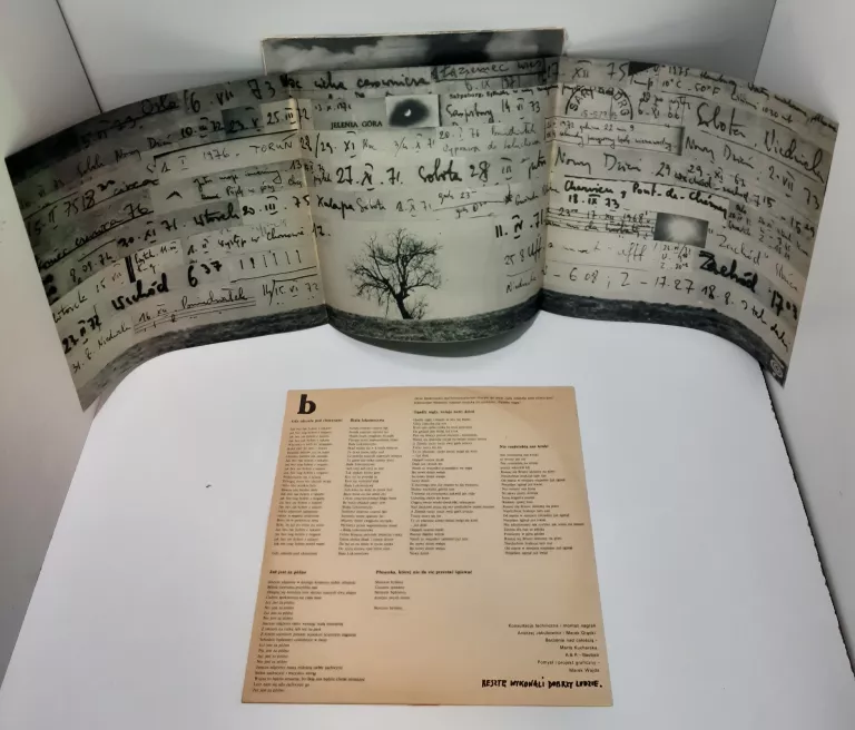 PŁYTA WINYLOWA "PIOSENKI" EDWARD STACHURA WINYL