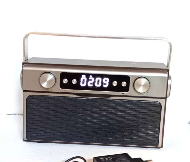 RADIO PRZENOŚNE MANTA RDI917PRO 20W