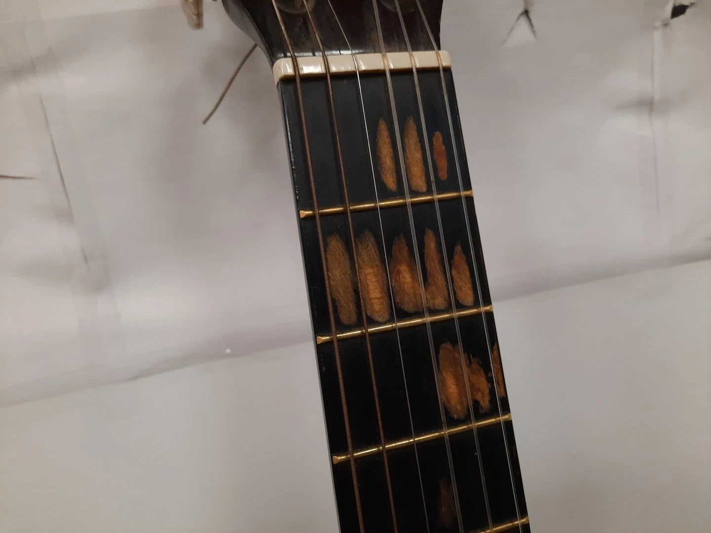 gitara-klasyczna-paola-cg-22n-product-id