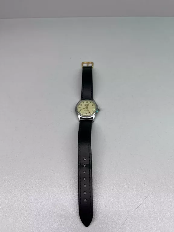 ZEGAREK DELBANA ANTIMAGNETIC 17 JEWELS INCABLOC