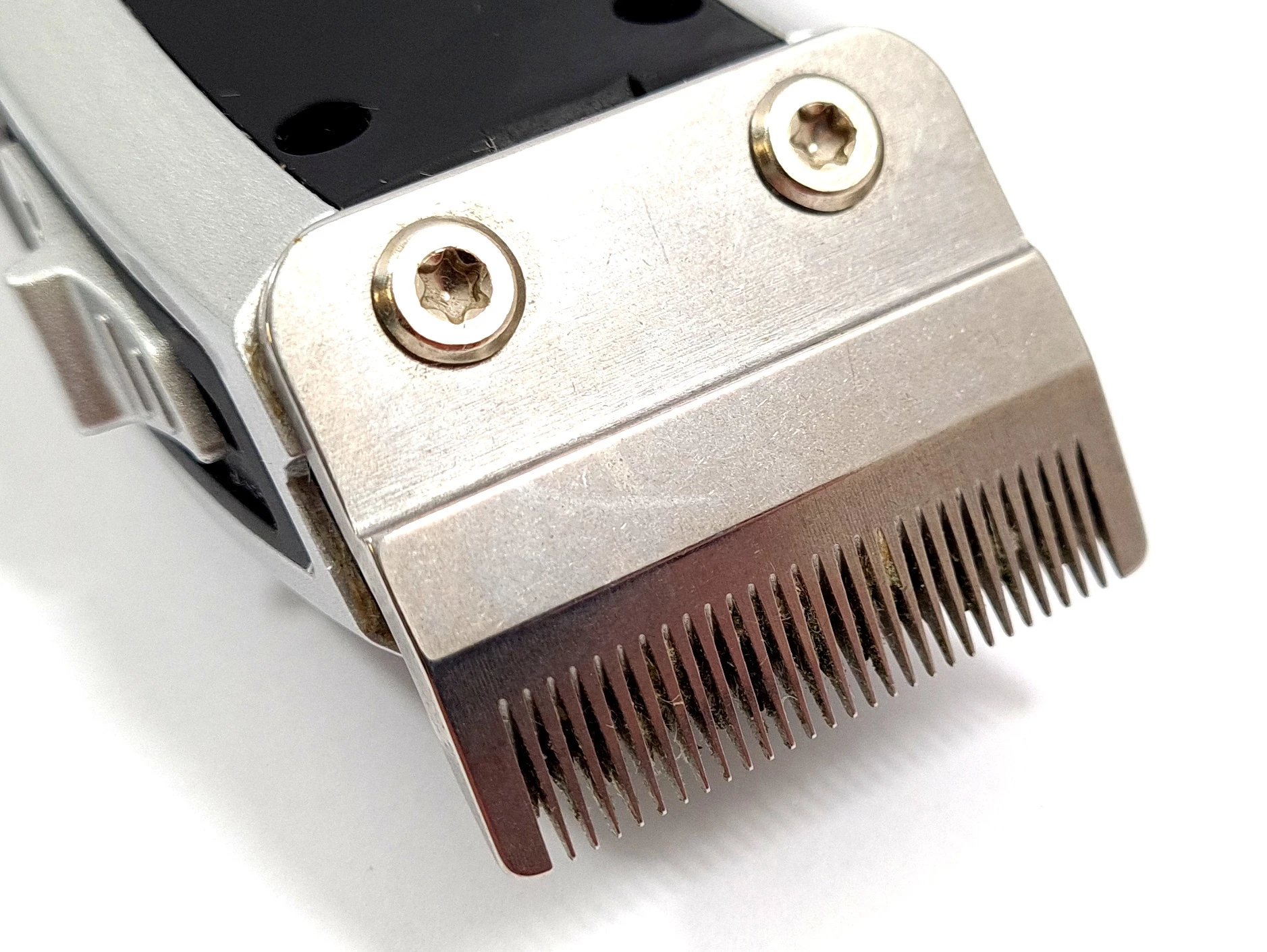 maszynka-do-strzyzenia-zwierzat-zoofari-ztsd-36-b1-product-id-1ec6cd74-e279-4c9f-a461-a1c1bed601f4