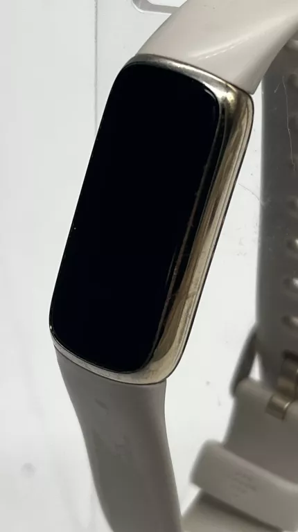 SMARTWATCH FITBIT LUXE