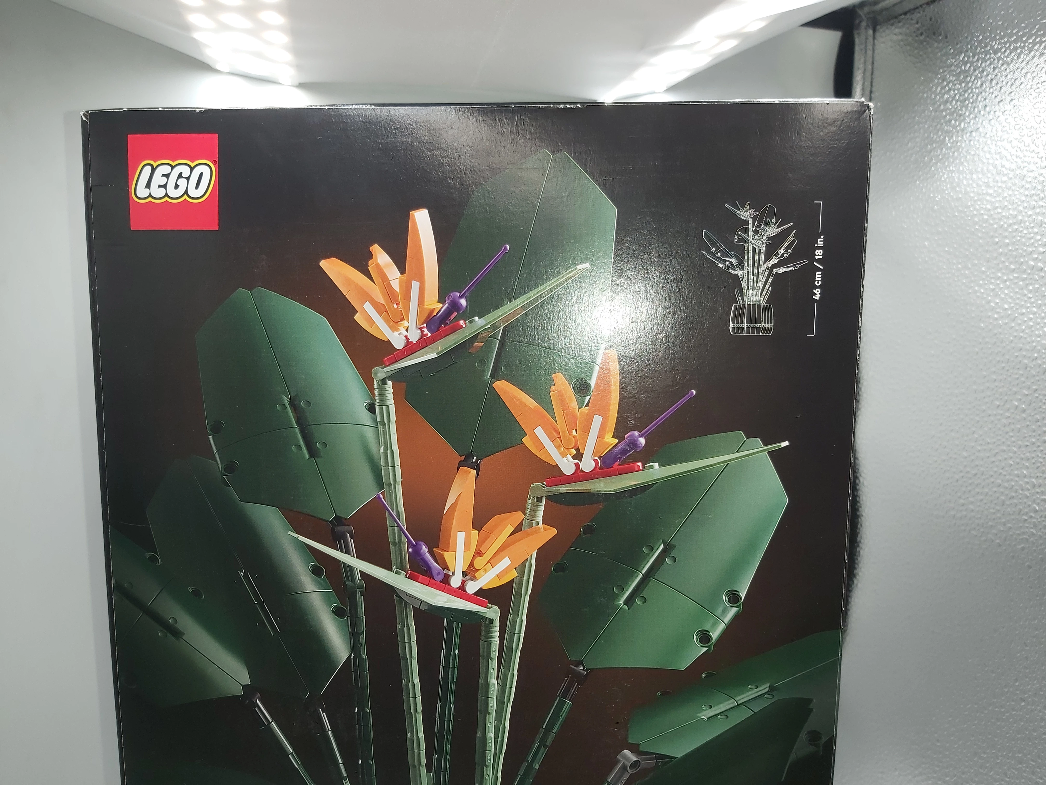 lego-icons-bird-of-paradise-strelicja-krolewska-10289-wiek-dziecka-18-lat