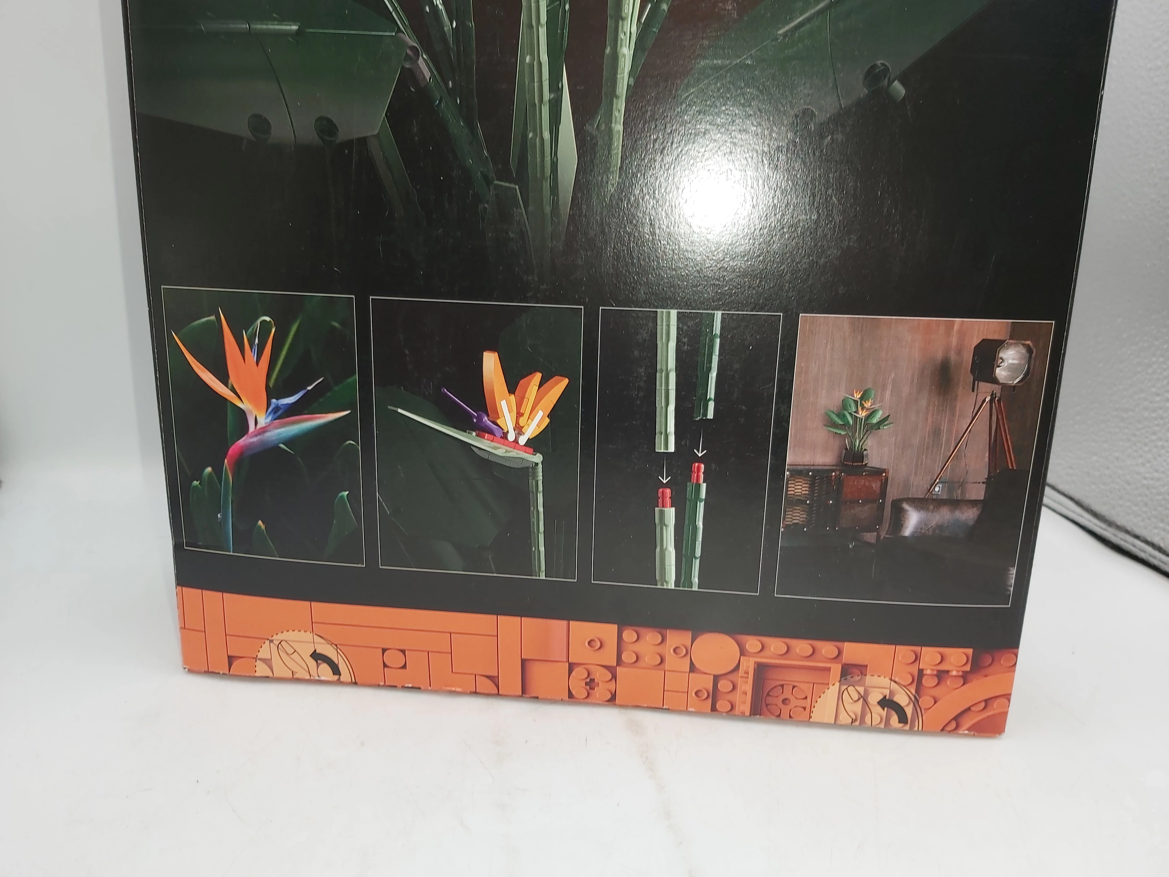 lego-icons-bird-of-paradise-strelicja-krolewska-10289-nazwa-zestawu-bird-of-paradise