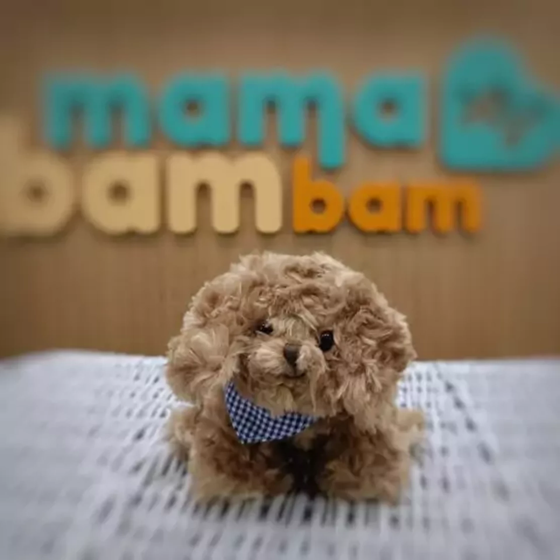 pluszowy-piesek-baby-kharma-15-cm-bukowski-7340031381888-partyzantow-2-jedrzejow-palladium