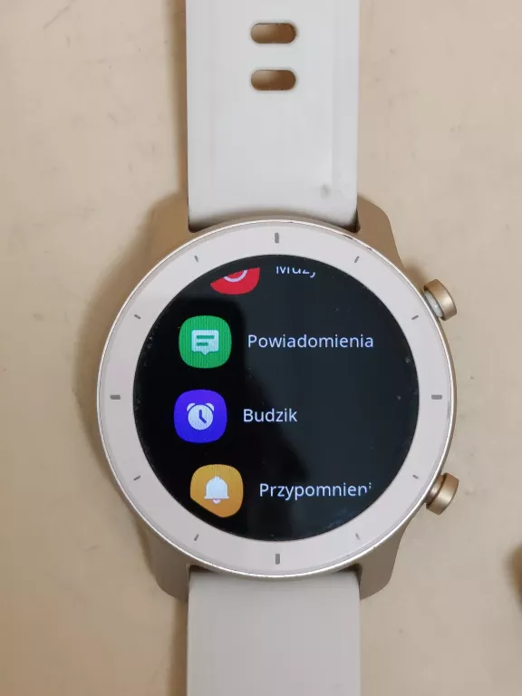 SMARTWATCH AMAZFIT GTR A1910