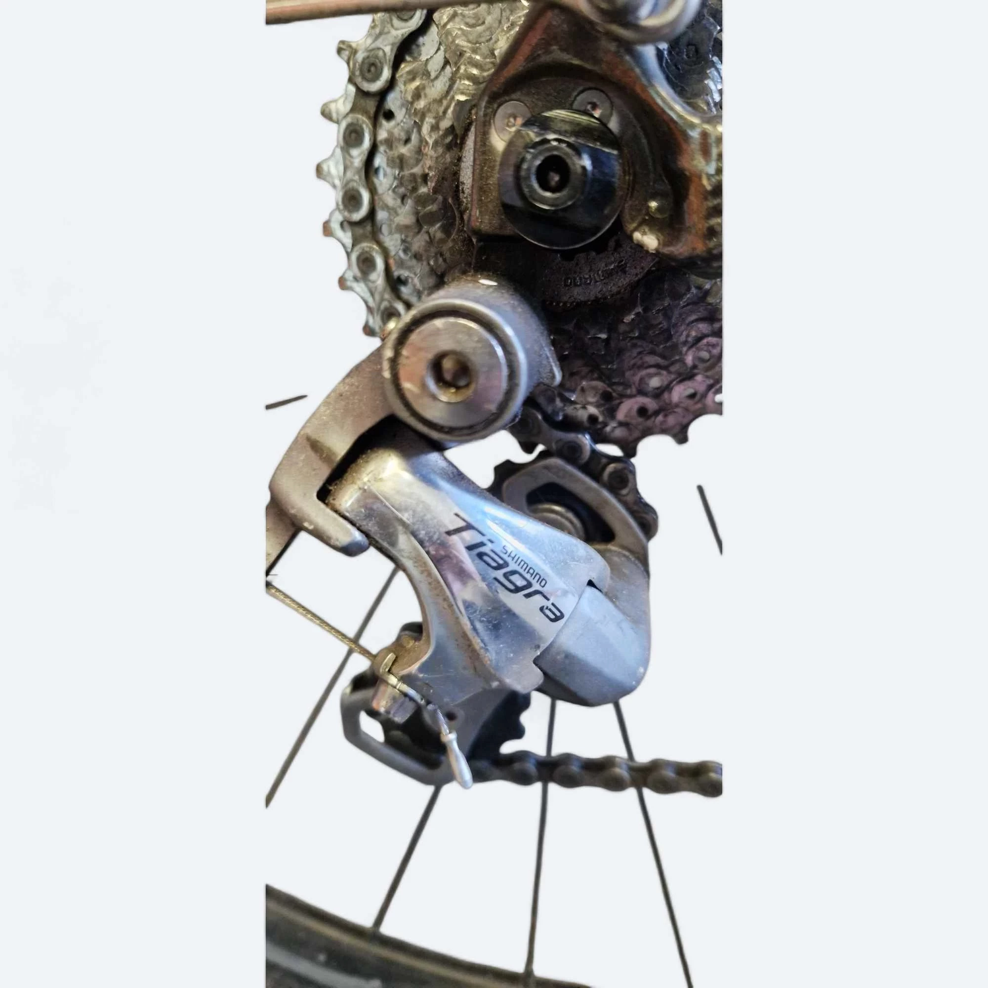 sd