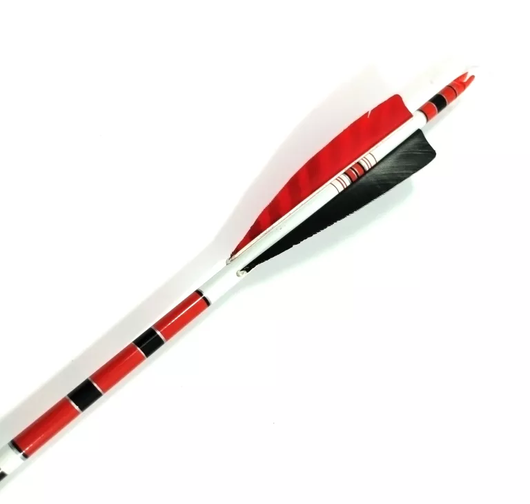 ŁUK SKŁADANY SAMIC CLASSIC TYPU HUNTER, 12 STRZAŁ,TORBA