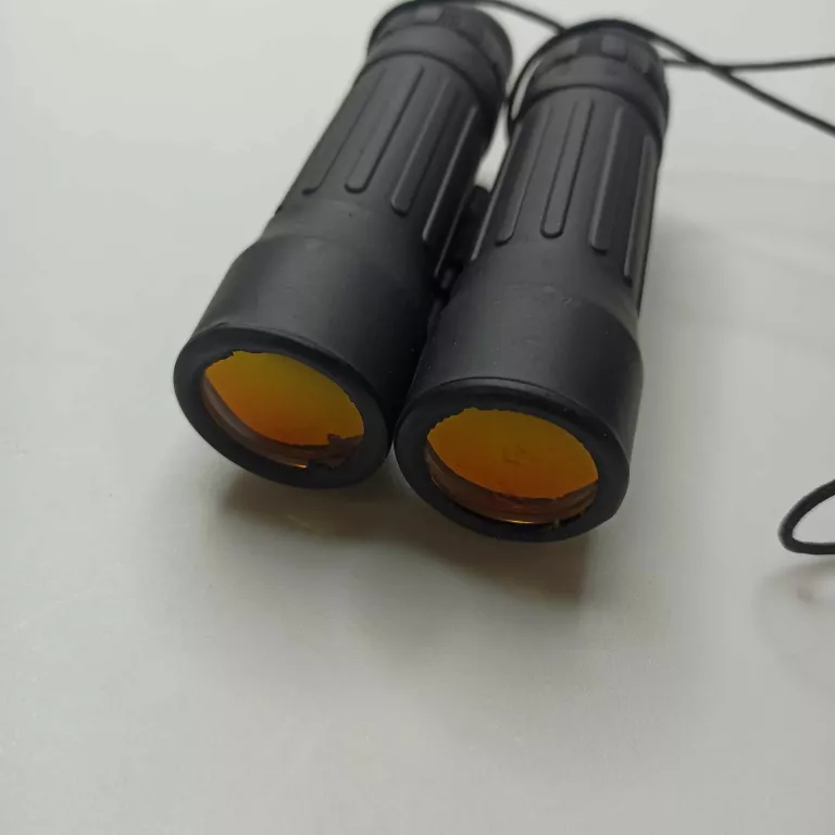 LORNETKA 10X25