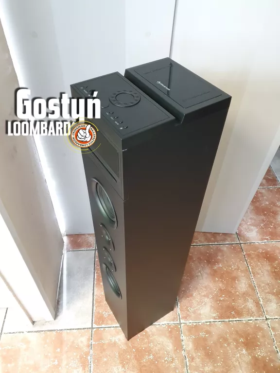 KOLUMNA GŁOŚNIK AUNA KARABOOM 100