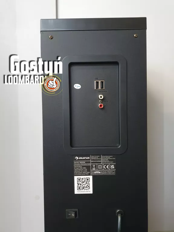 KOLUMNA GŁOŚNIK AUNA KARABOOM 100