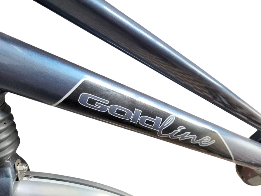 rower-miejski-gazelle-goldline-firenze-rozmiar-ramy-129290-33