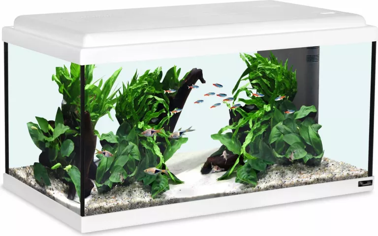 ZESTAW AKWARIOWY ADVANCE 60 LED
